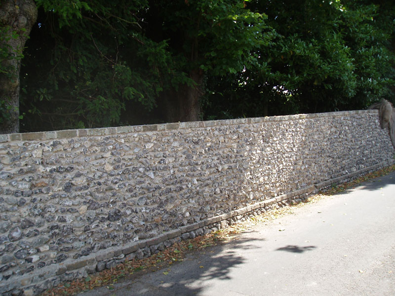 Lime Pointing image